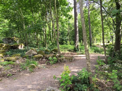 Photo from 15 June 2019