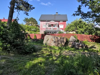 Photo from 15 June 2019
