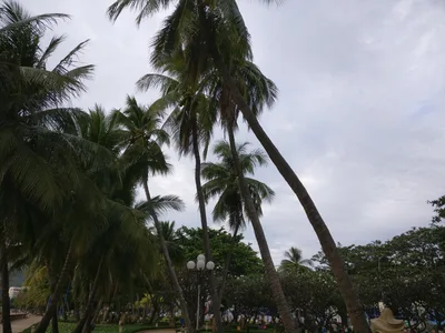 Vũng Tàu, Vietnam — 7 January 2018