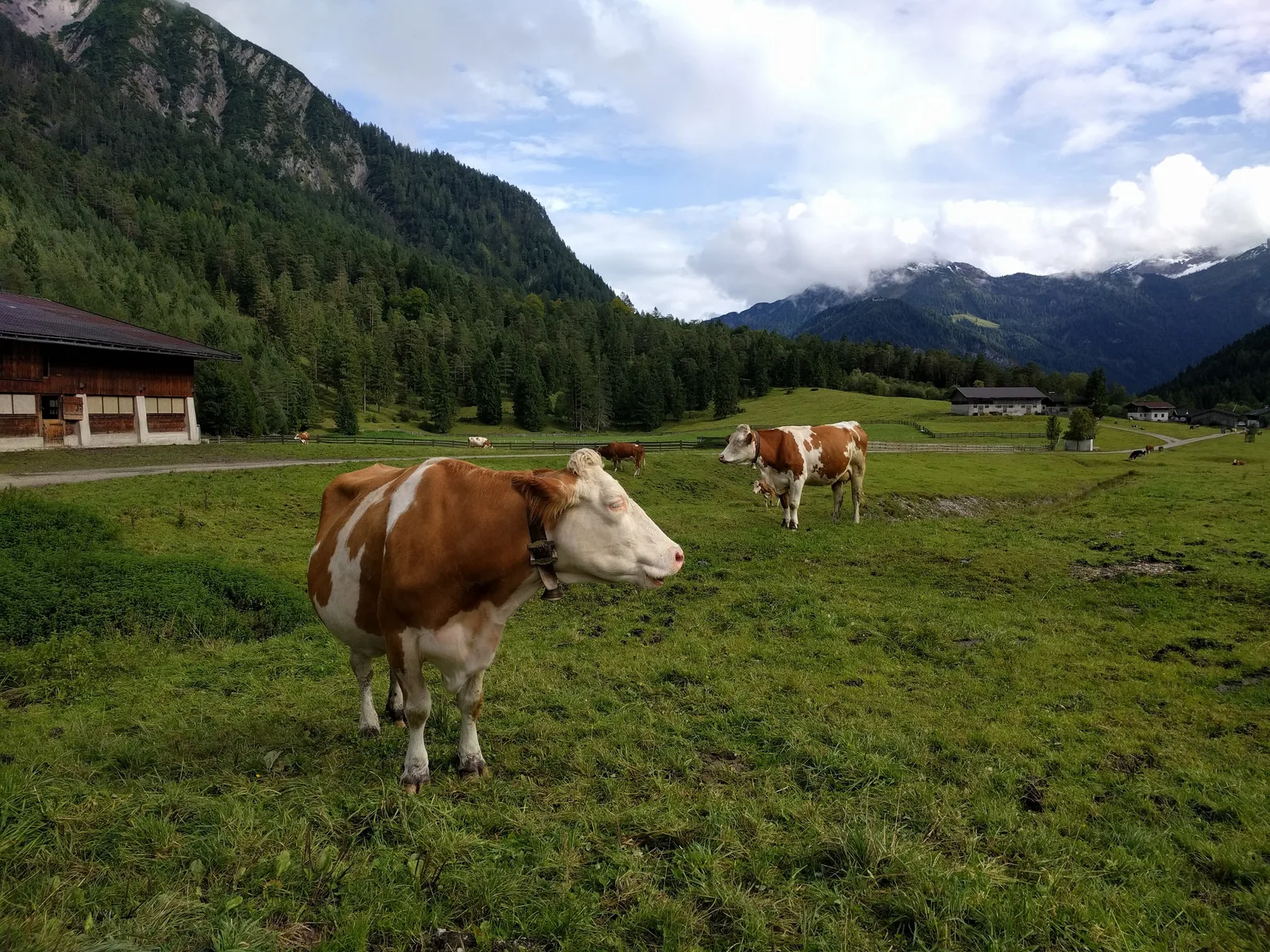 Photo from 17 September 2017