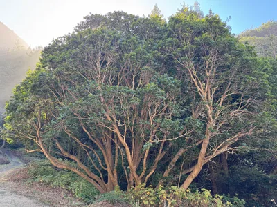 Photo from 24 October 2025