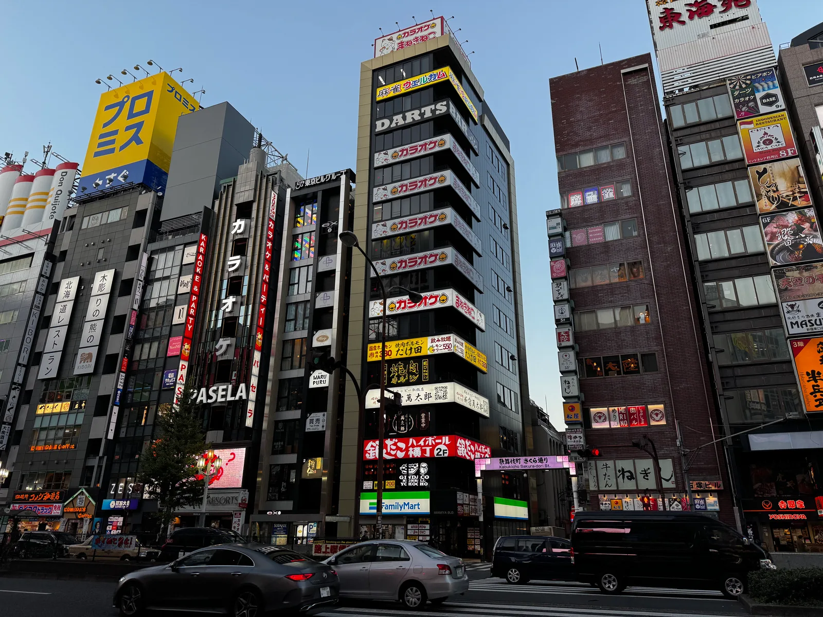 Kabukicho, Japan — 2 December 2024