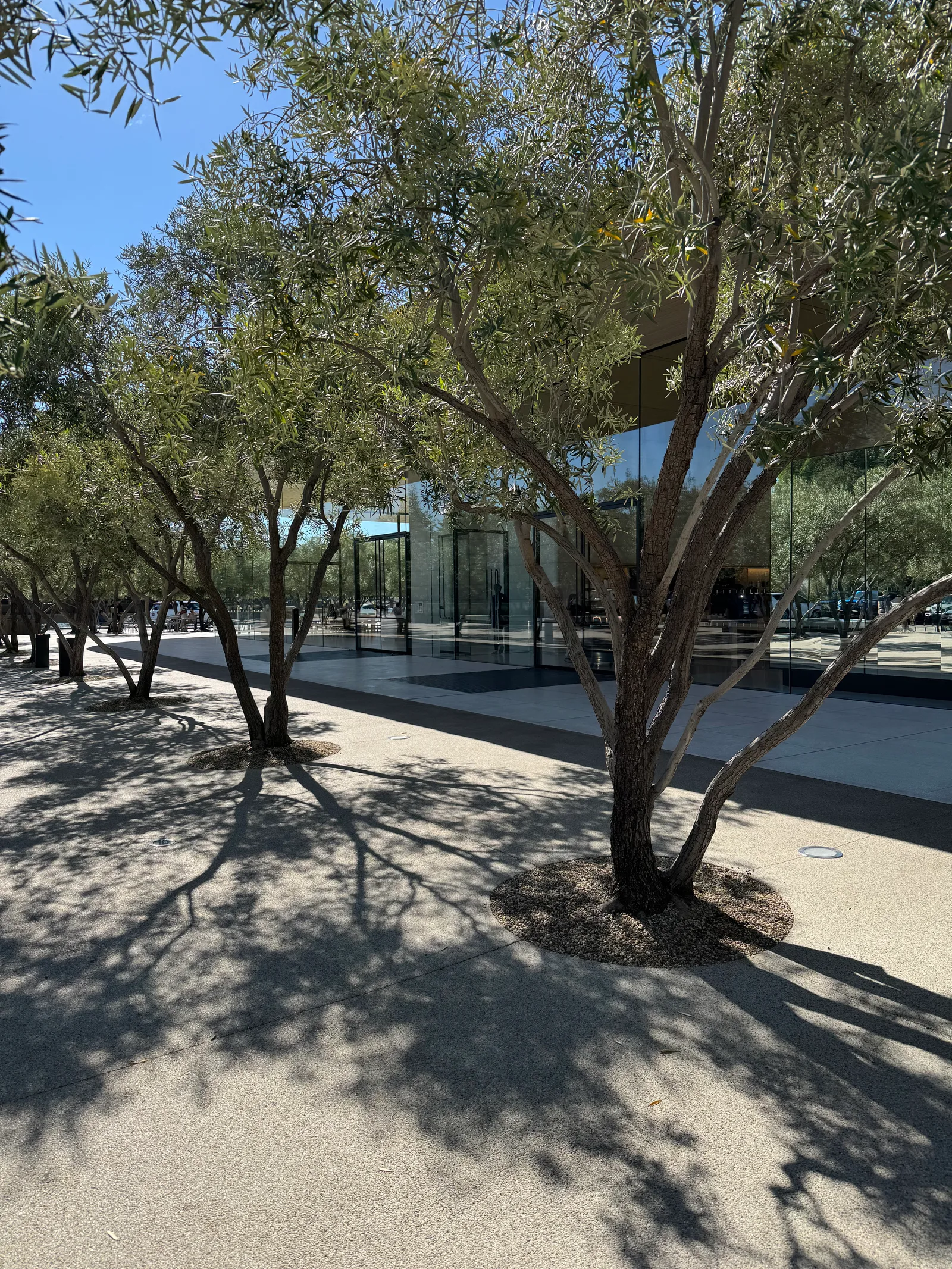 Cupertino, United States — 21 October 2025