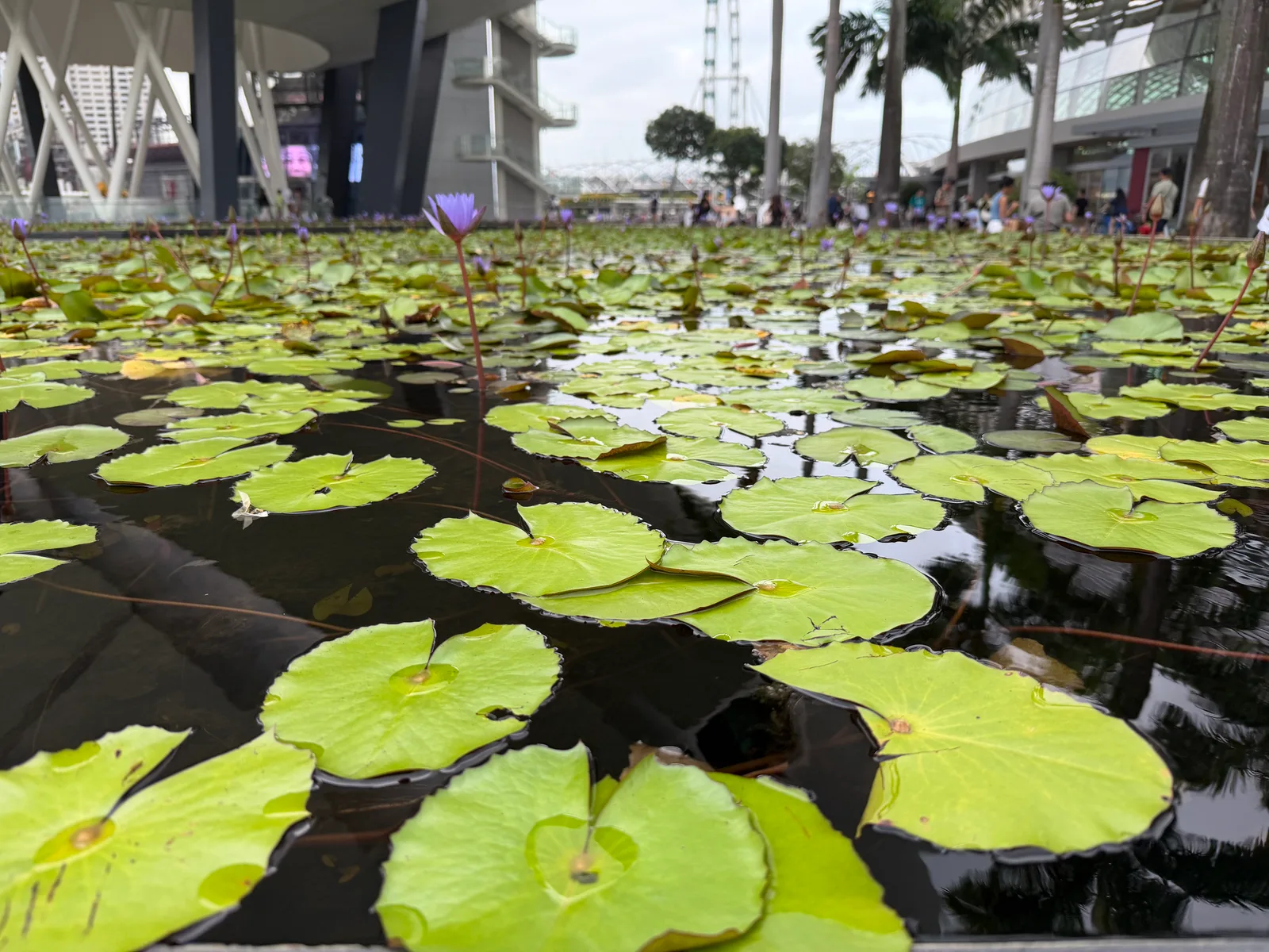 Marina Bay, Singapore — 18 July 2026