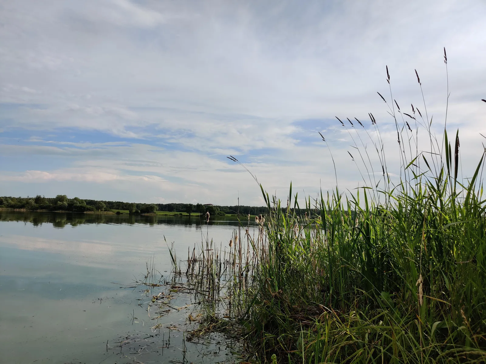 Stupino, Russia — 28 June 2020