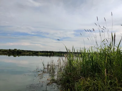 Stupino, Russia — 28 June 2020