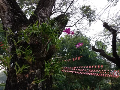 Quận Phú Nhuận, Vietnam — 3 February 2018