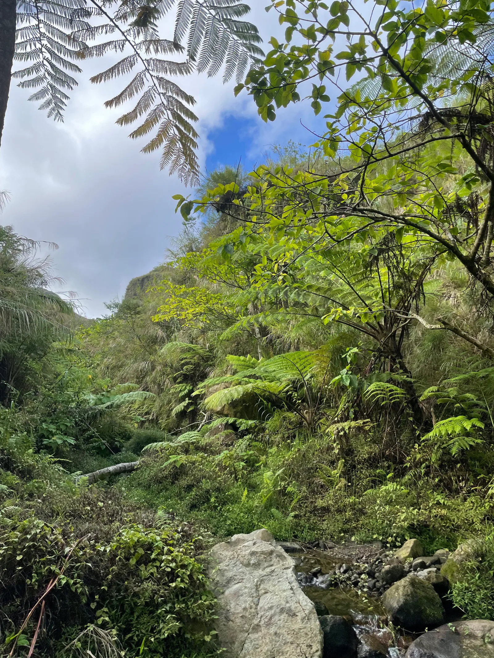 Babo-Pangulo, Philippines — 29 May 2022