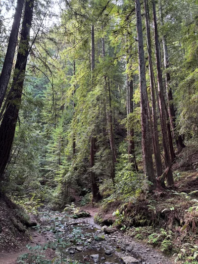 Day Valley, United States — 22 October 2025