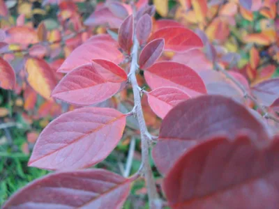 Photo from 11 October 2010