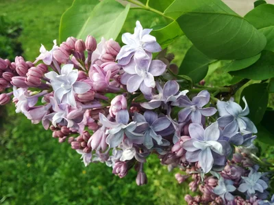 Photo from 23 May 2015
