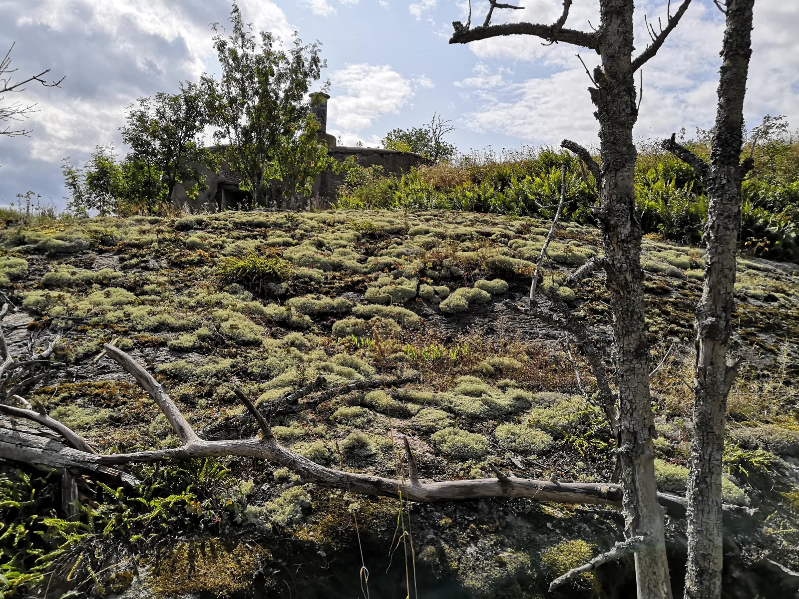 Photo from 3 August 2019
