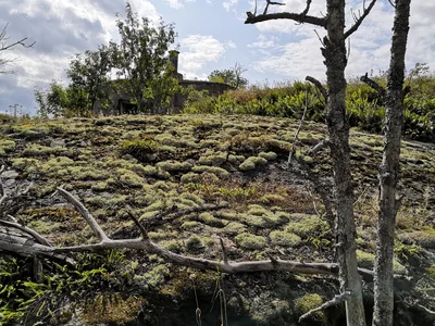 Photo from 3 August 2019