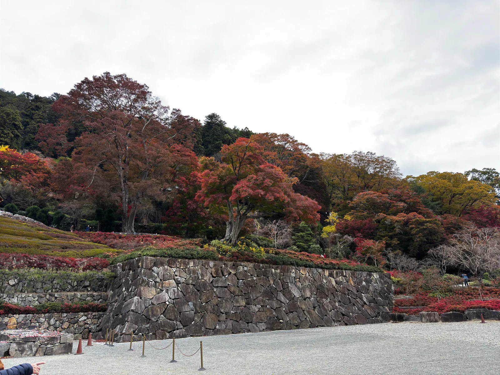 Minoh, Japan — 26 November 2024