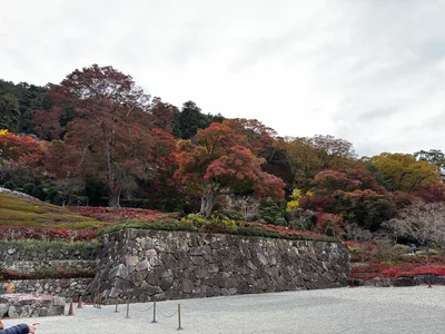 Minoh, Japan — 26 November 2024