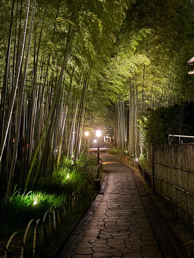Shuzenji, Japan — 17 June 2026