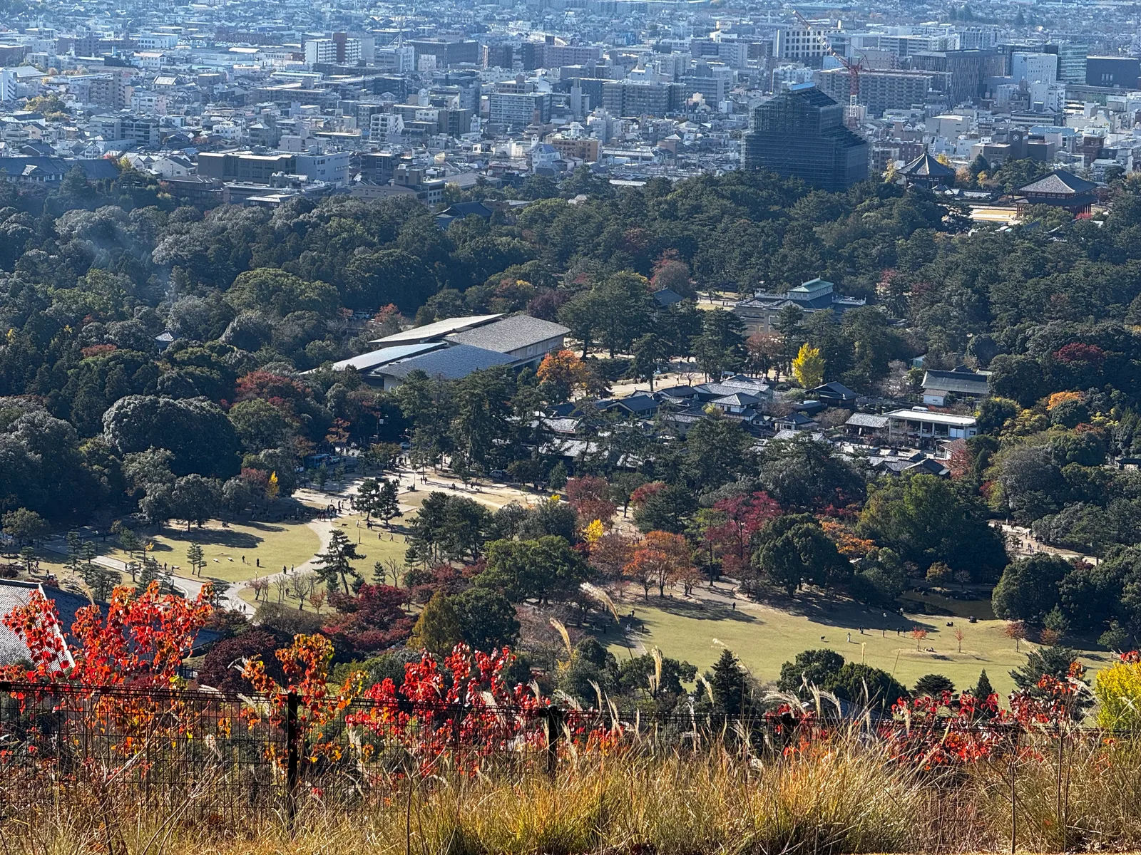 Nara-shi, Japan — 25 November 2024