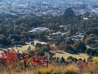 Nara-shi, Japan — 25 November 2024