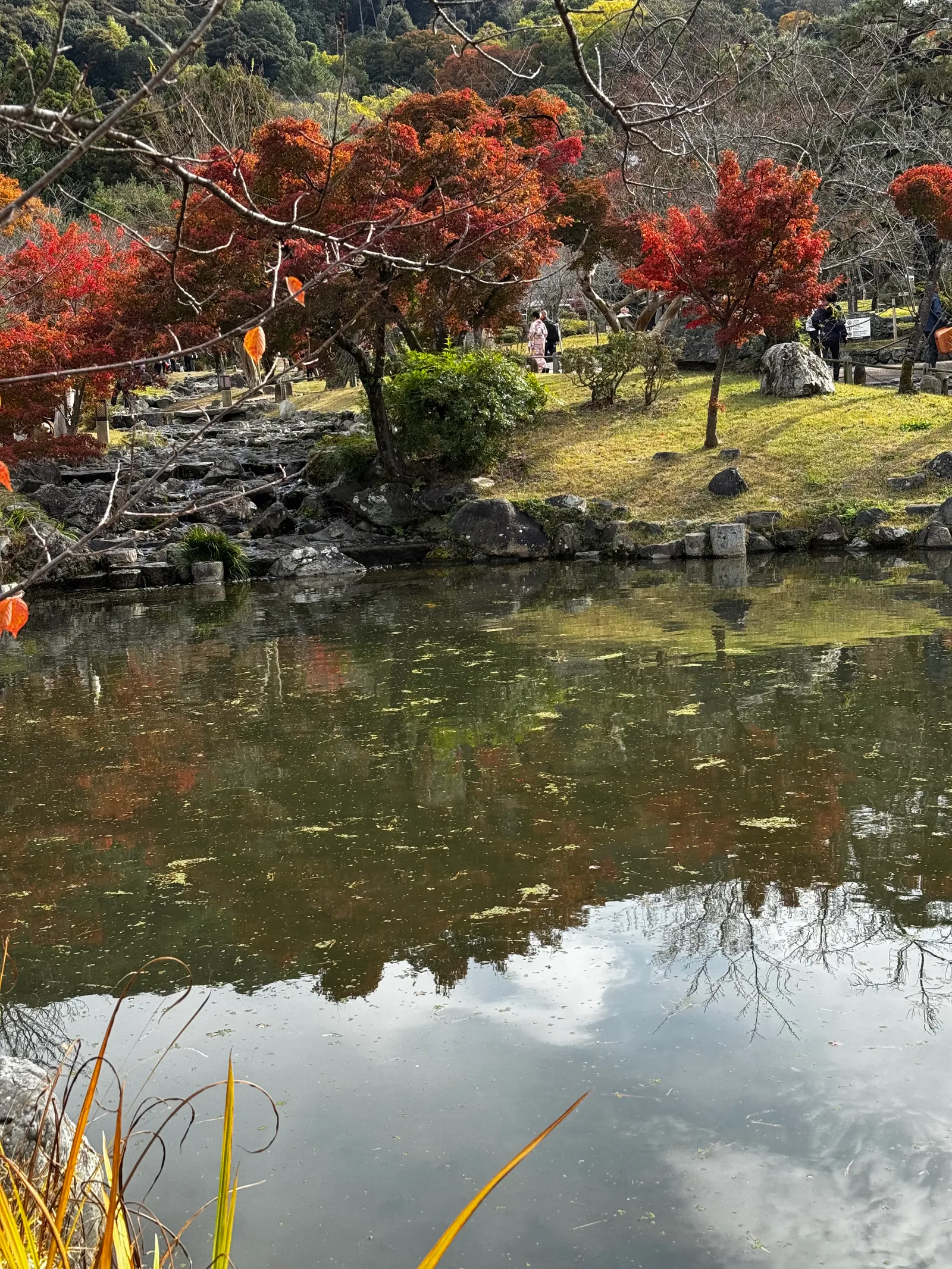 Kyoto, Japan — 27 November 2024