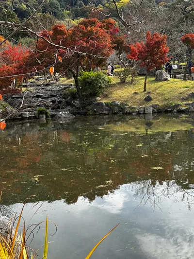 Kyoto, Japan — 27 November 2024