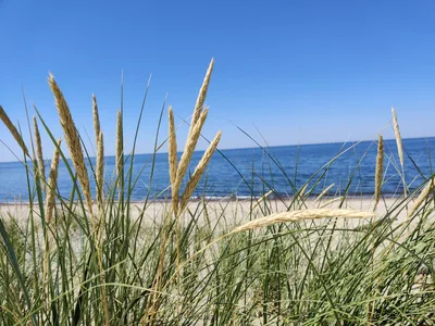 Nida, Lithuania — 18 July 2020