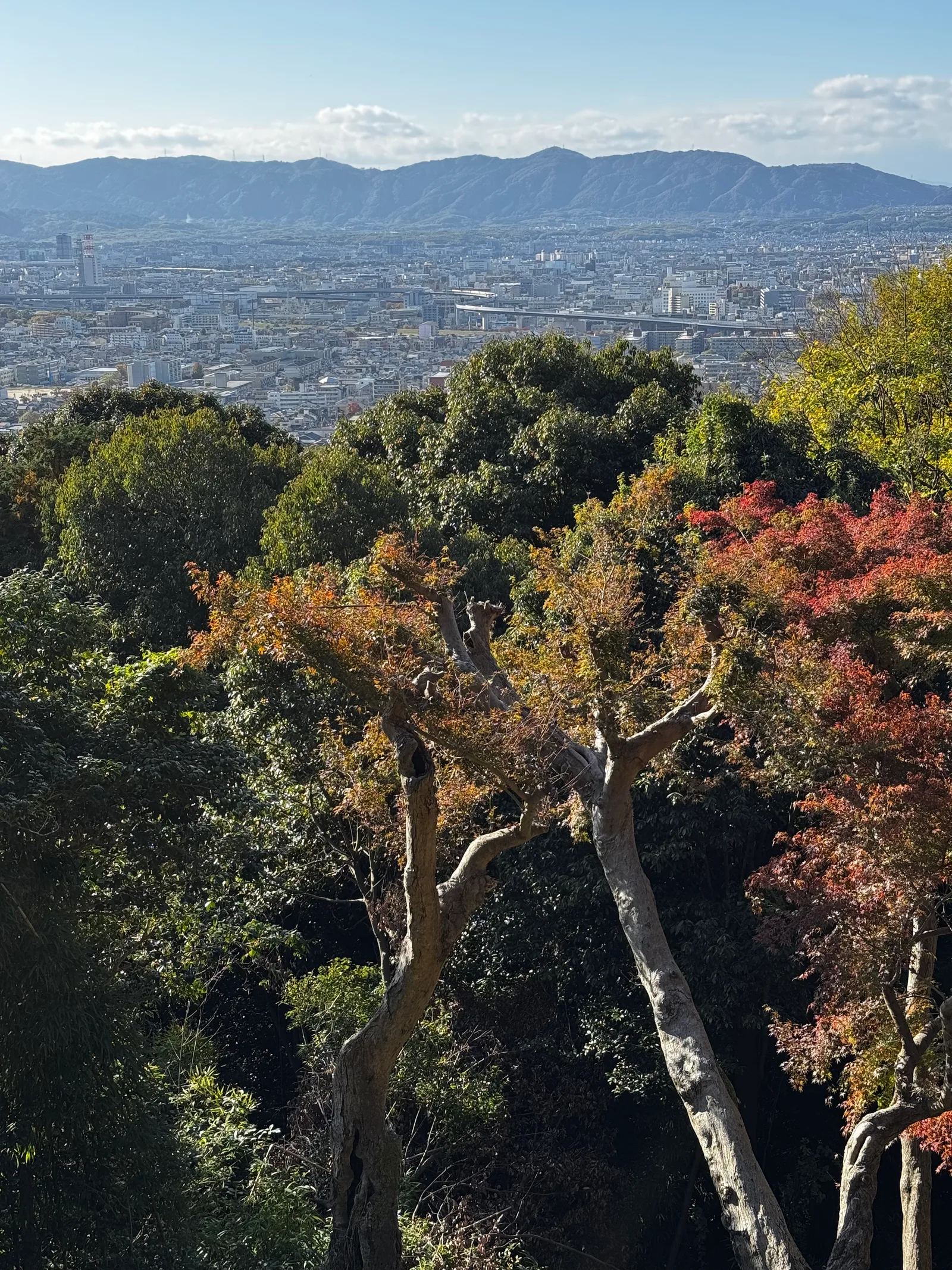 Kyoto, Japan — 27 November 2024