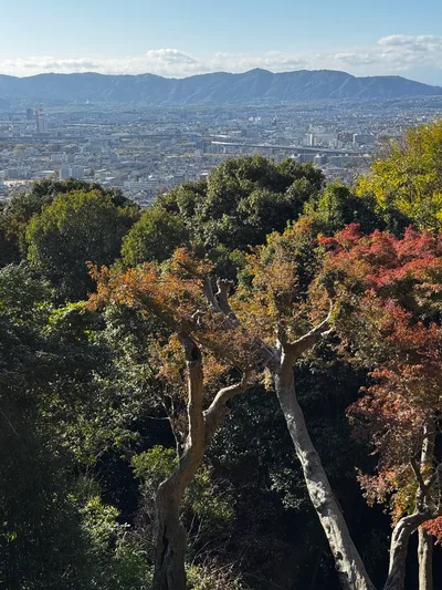 Kyoto, Japan — 27 November 2024