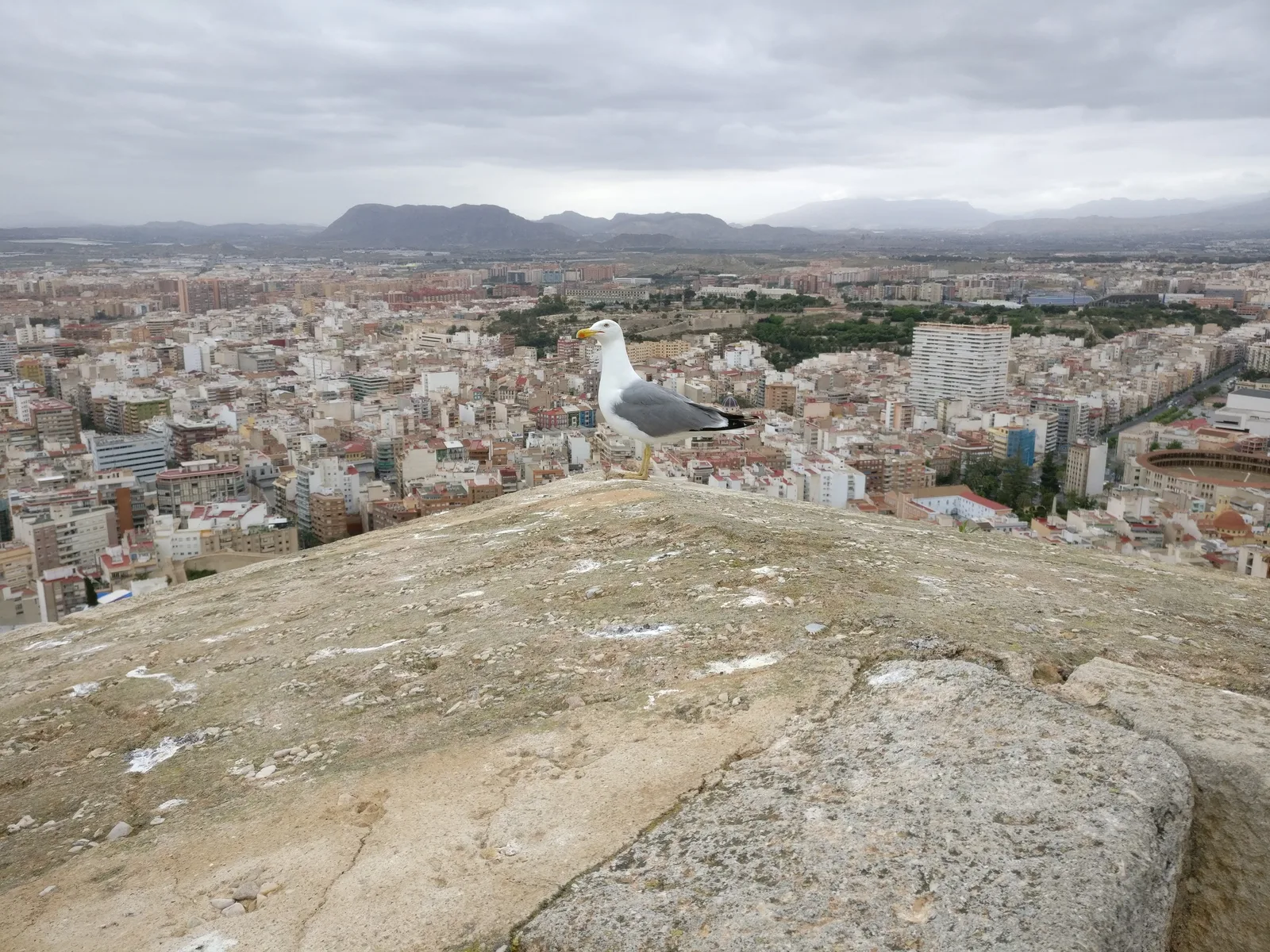 Alicante, Spain — 28 April 2017