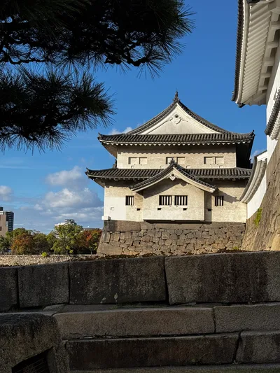 Osaka, Japan — 23 November 2024