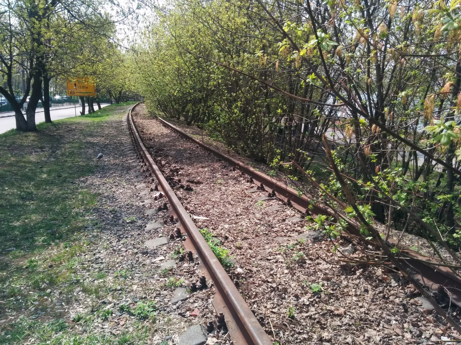 Photo from 2 May 2015