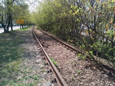Photo from 2 May 2015