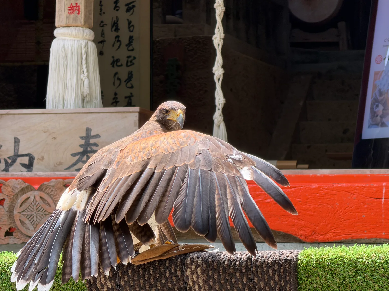 Matsuzaki, Japan — 19 June 2026
