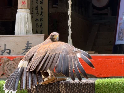 Matsuzaki, Japan — 19 June 2026