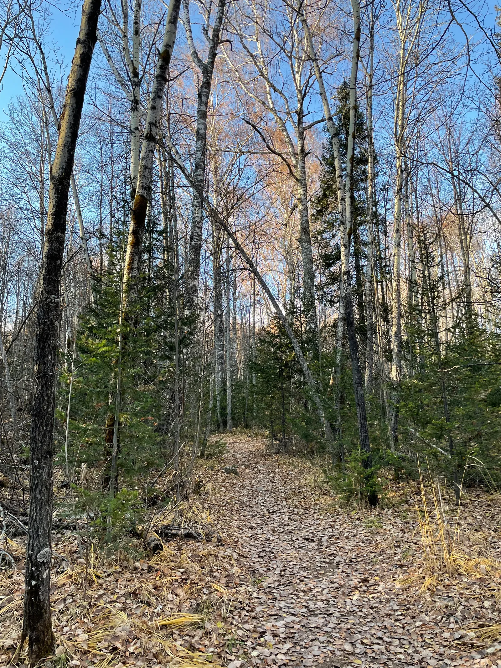 Trëkhgornyy, Russia — 16 October 2021