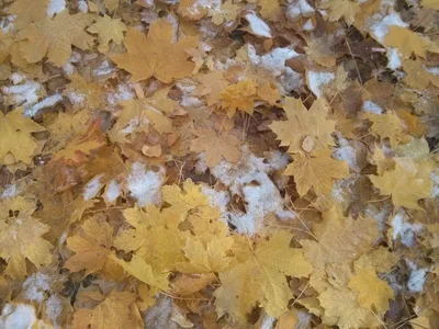 Photo from 19 October 2014