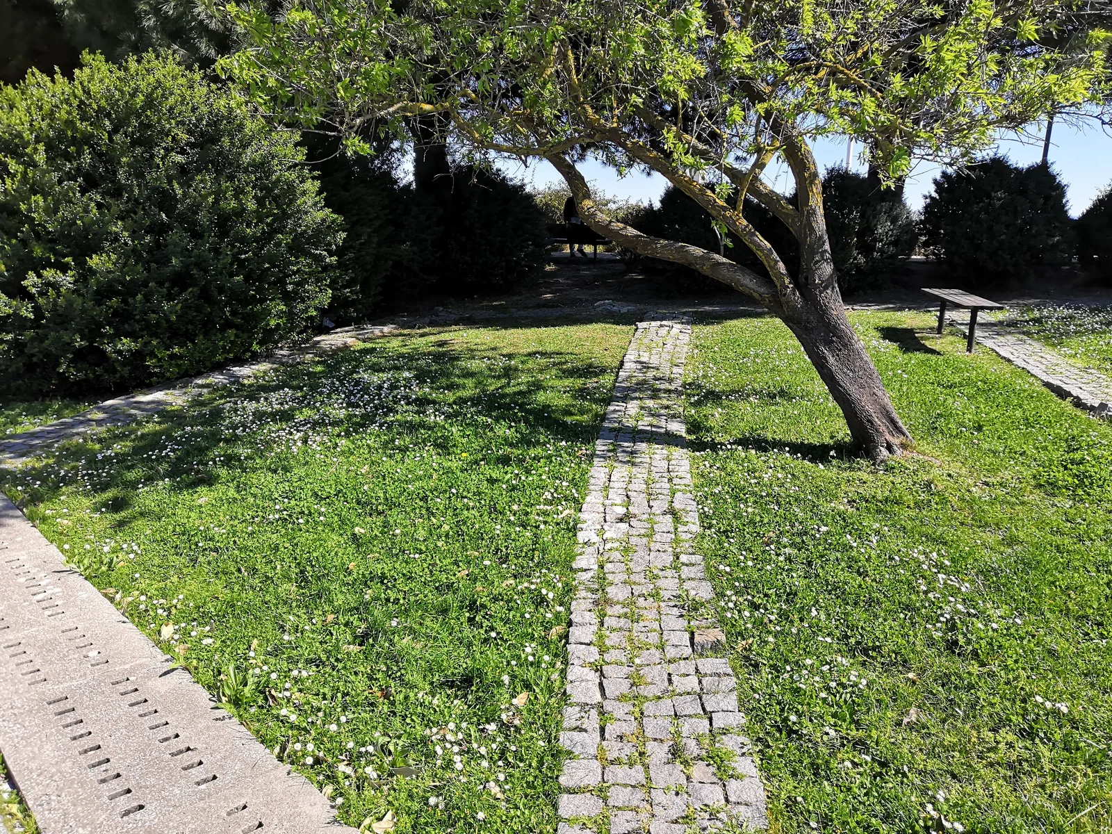 Photo from 20 March 2019