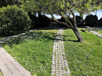 Photo from 20 March 2019