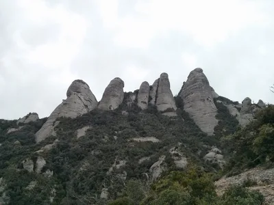 Photo from 2 April 2014