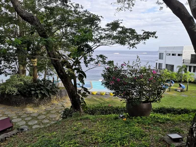 Photo from 23 February 2019