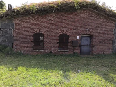 Photo from 3 August 2019