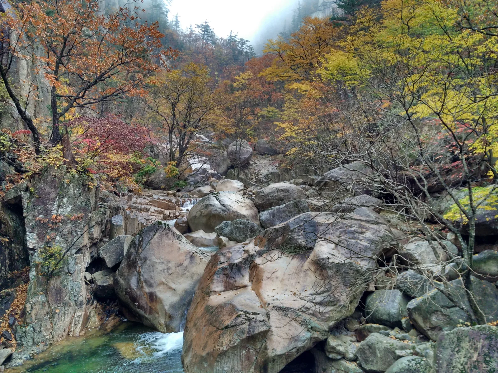 Sokcho, South Korea — 21 October 2016