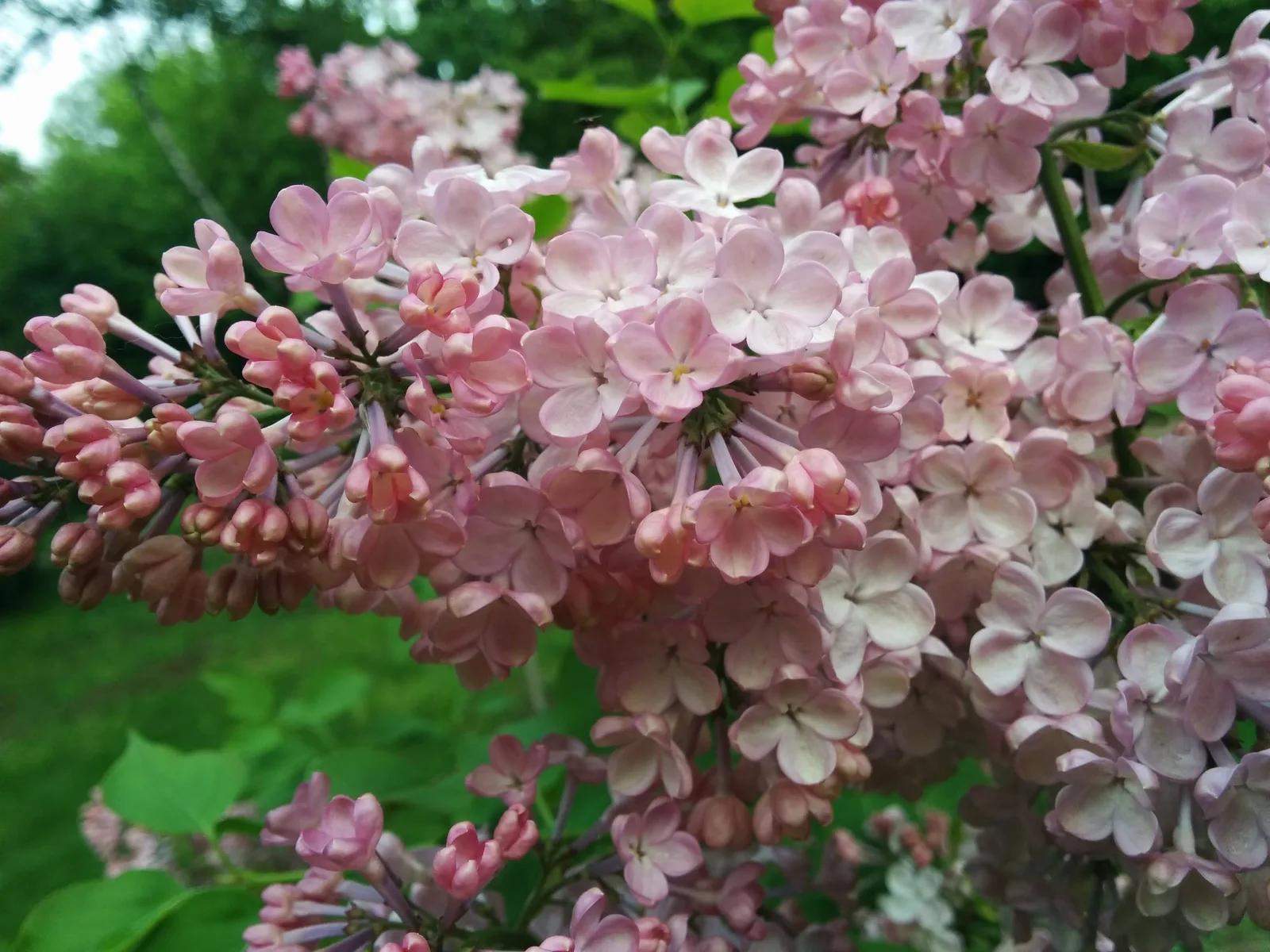 Photo from 23 May 2015