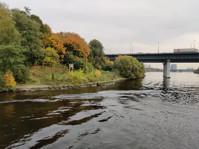 Levoberezhnyy, Russia — 3 October 2020