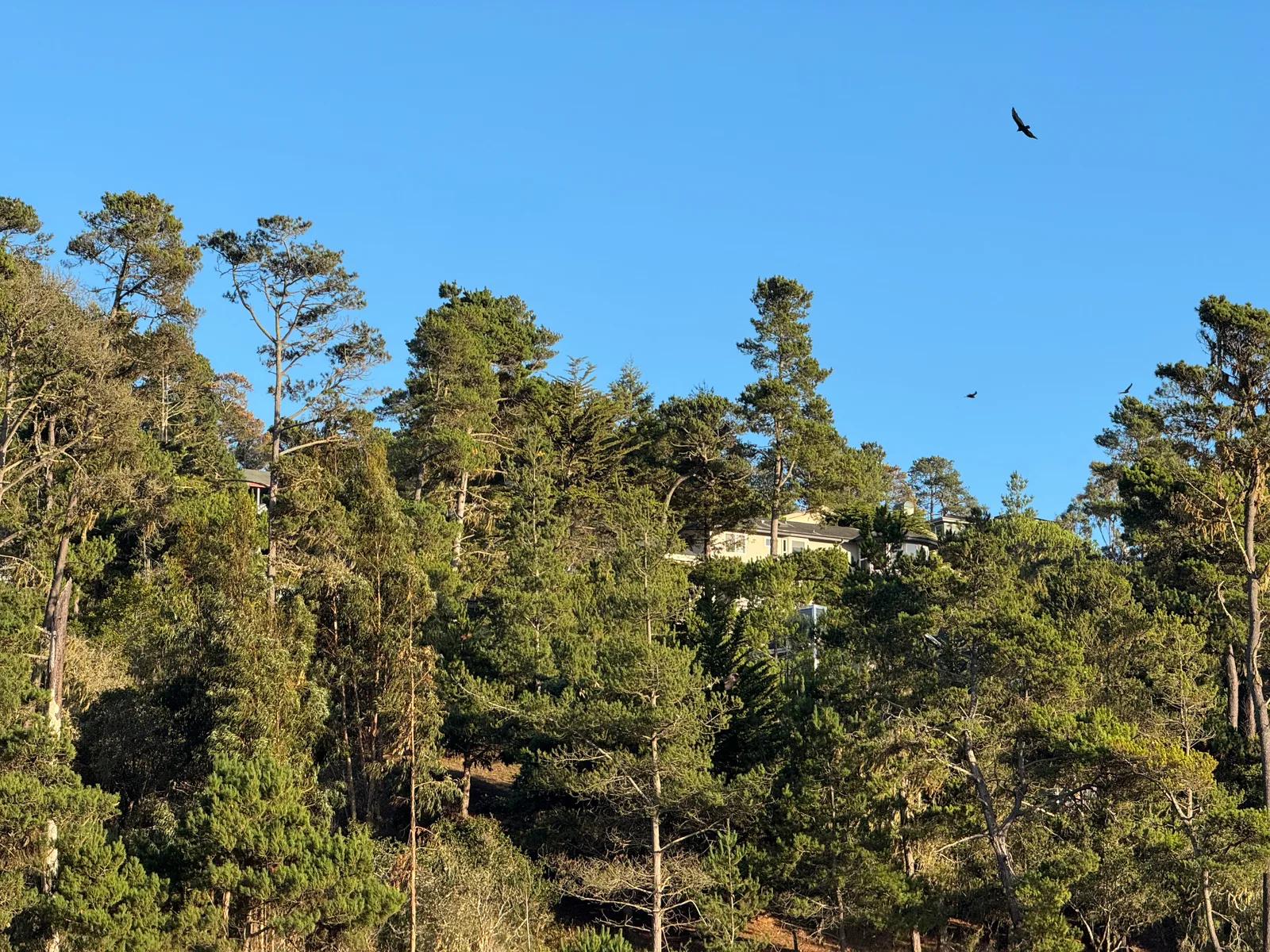 Cambria, United States — 26 October 2025