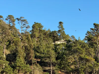 Cambria, United States — 26 October 2025