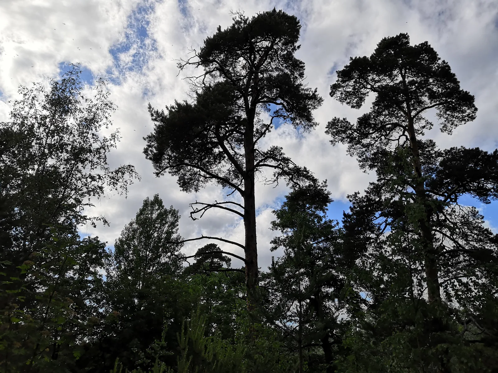 Photo from 15 June 2019