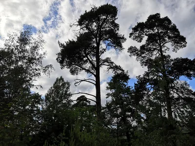 Photo from 15 June 2019