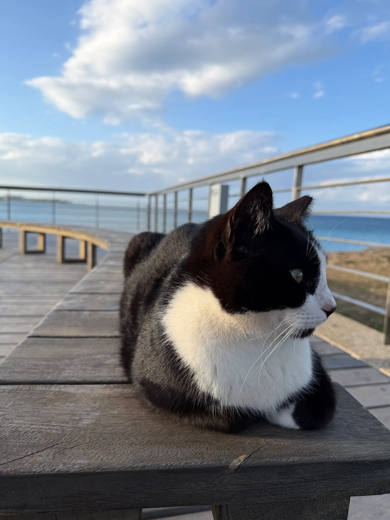 Protaras, Cyprus — 25 February 2026