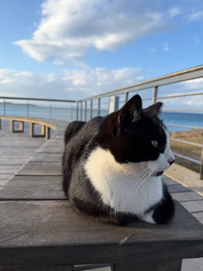 Protaras, Cyprus — 25 February 2026