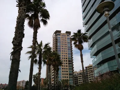 Photo from 1 April 2014